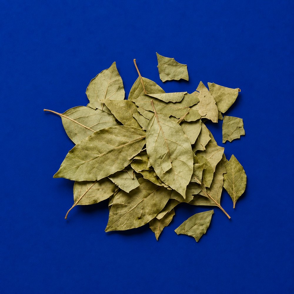 Gymnema leaf